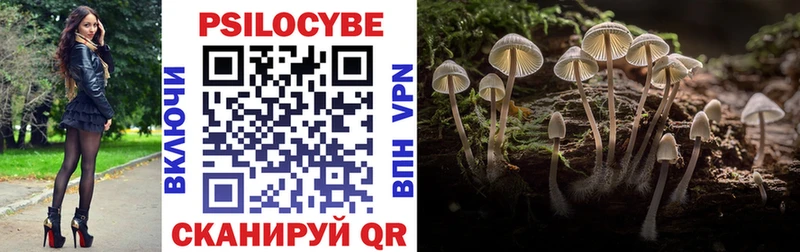 Псилоцибиновые грибы Magic Shrooms  Пудож 