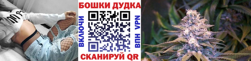 продажа наркотиков  Пудож  Бошки Шишки White Widow 